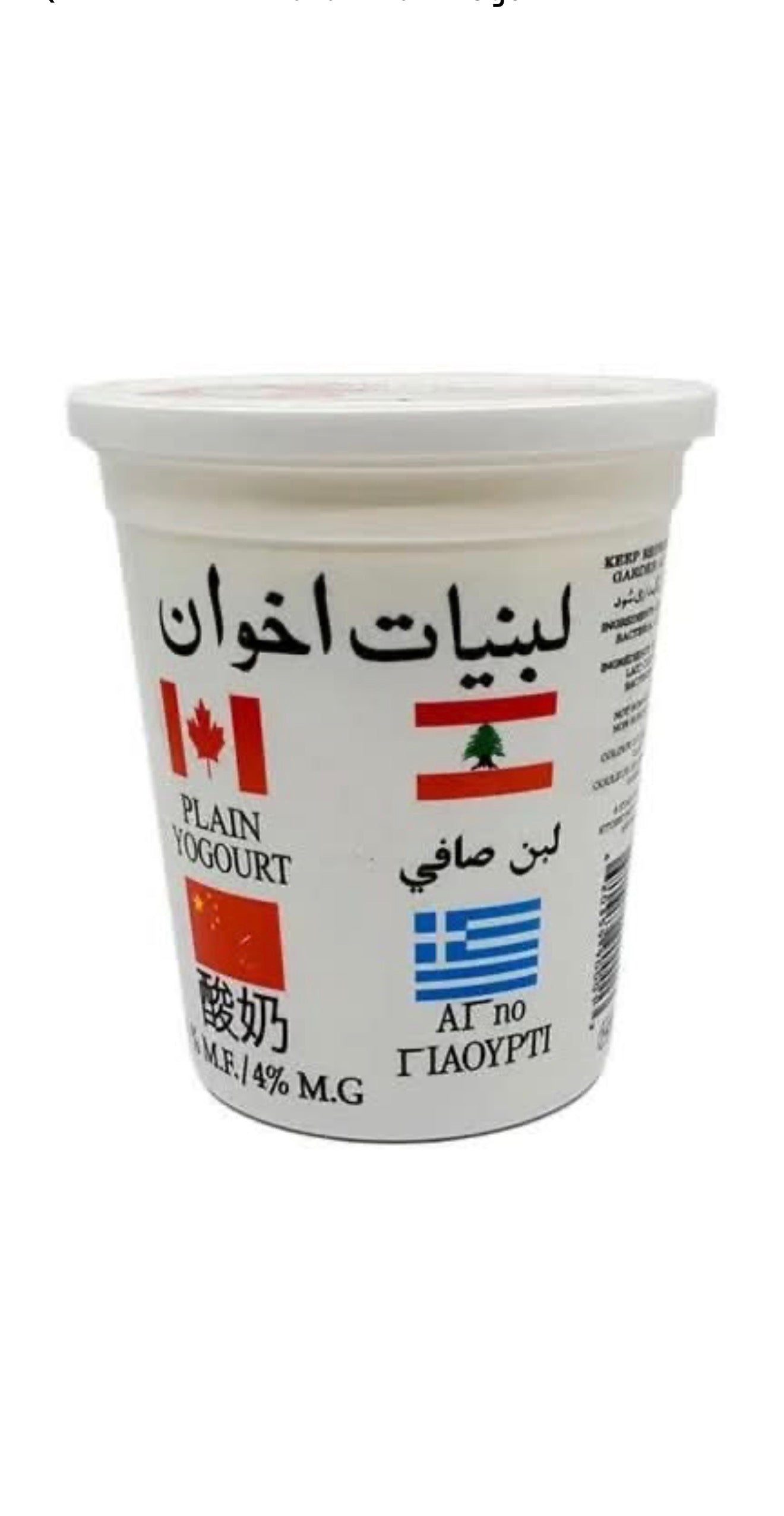 Akhavan Plain Yogurt